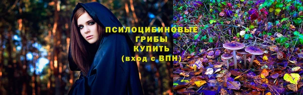 твердый Балахна