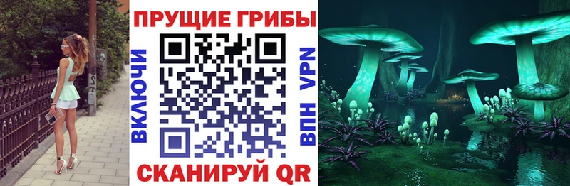 Купить где  Дегтярск  Псилоцибиновые грибы ЛСД 